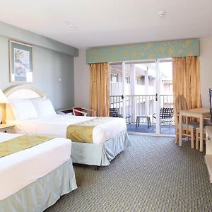 Standard Room Two Double Beds Top Floor